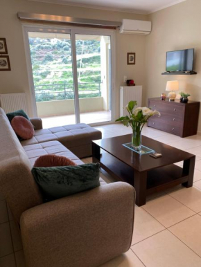 CITY MINUTE HOUSE